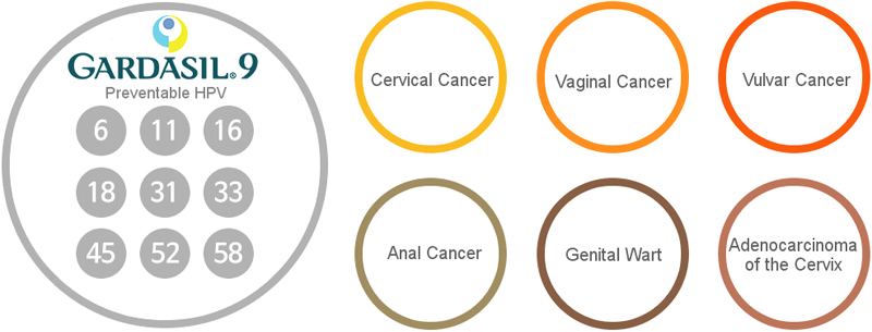 Immunization Effects of Gardasil 9